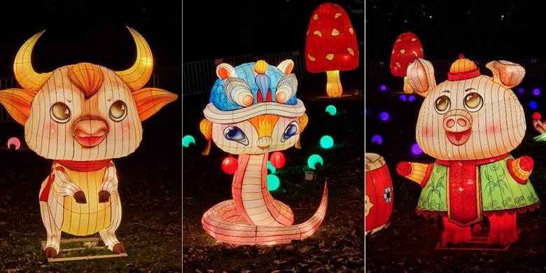 Novi Sad, Kineski festival svetla, Srbija